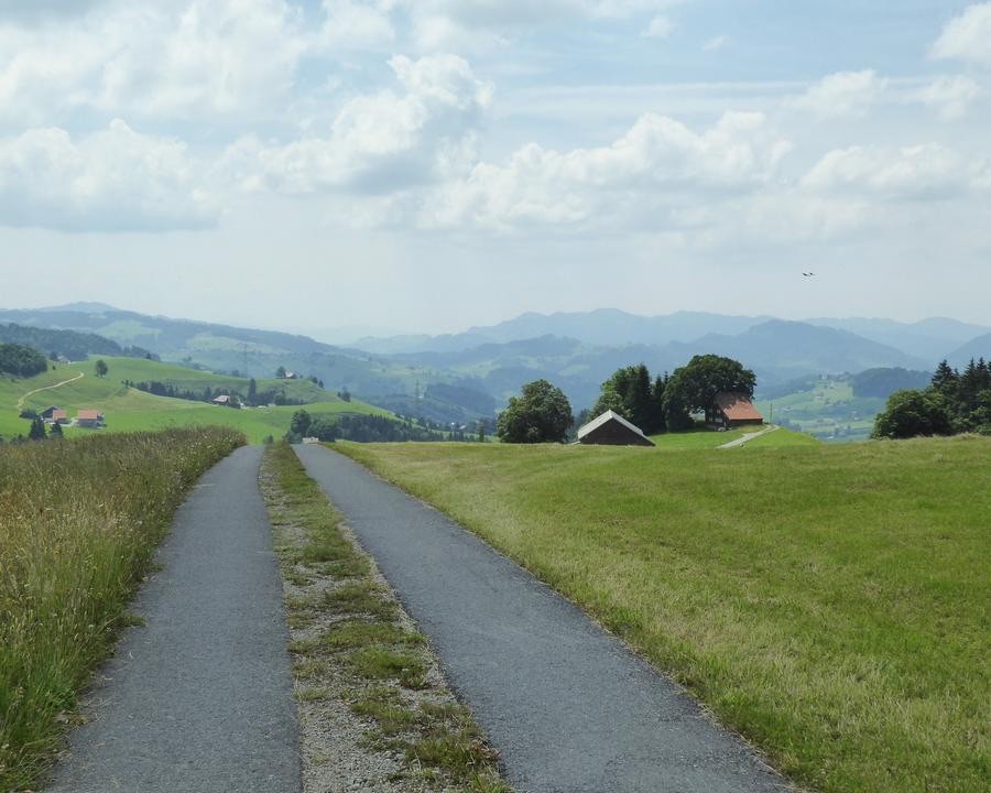 Schönengrundd