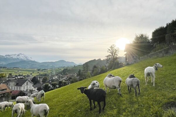 Schlusswanderung zu unseren Kollektivmitgliedern