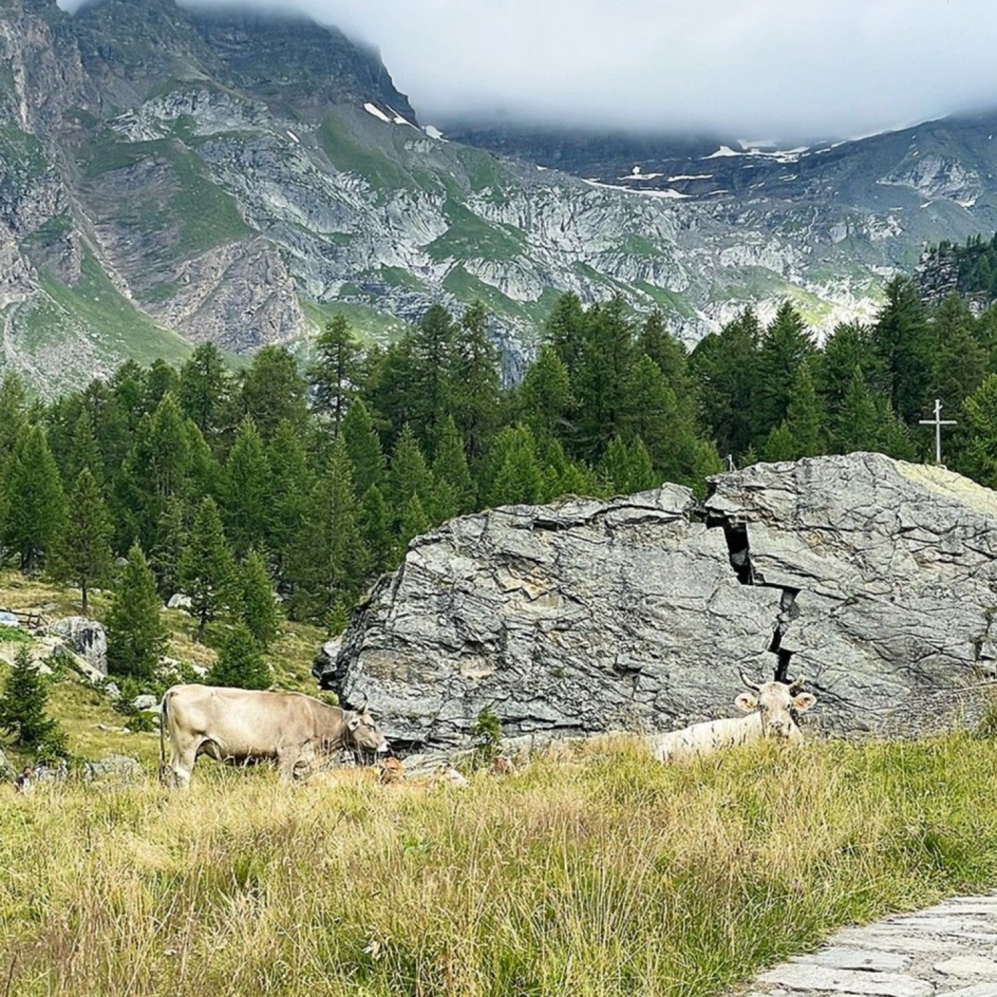 260819 Nufenen-Simplon 1