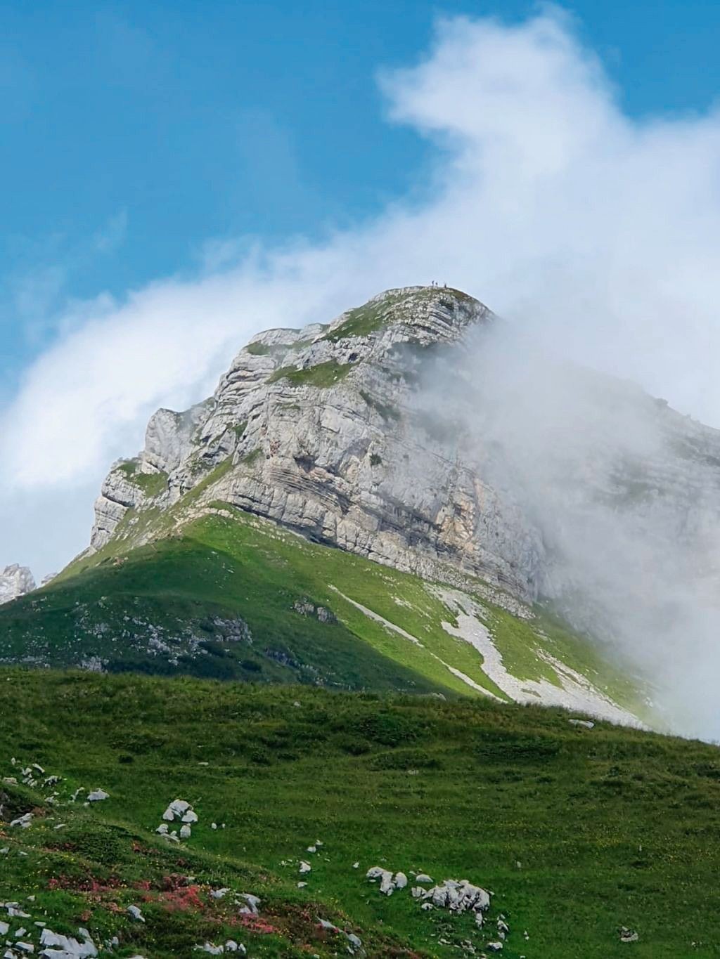 Margelkopf