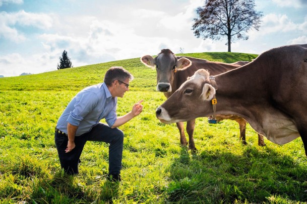 260711_Rinder Christian Manser