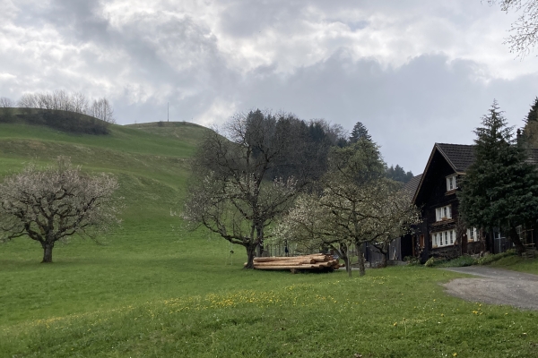 Etappe 1: Walzenhausen - Kaien