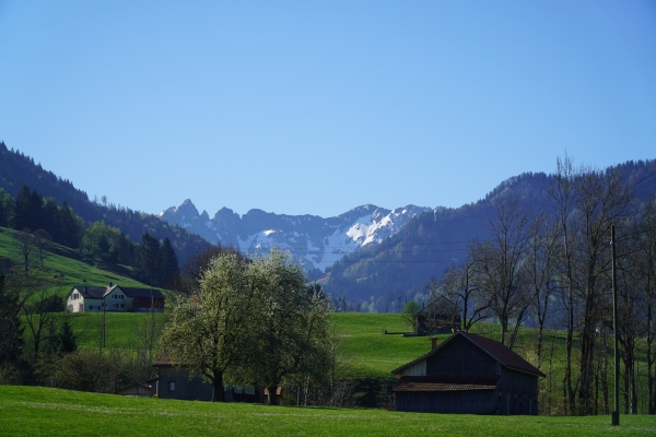 Etappe 6: Schönengrund - Schwägalp LSB