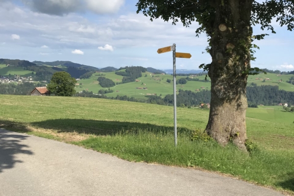 Etappe 4: Niederteufen - Herisau Wilen
