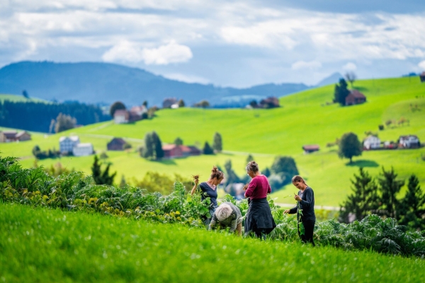 Appenzeller Natur erleben, Wanderung zum Appenzeller Bauern