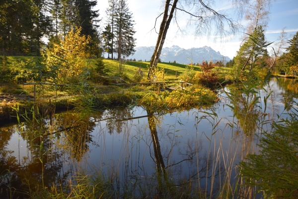 Corinas Wandervorschlag