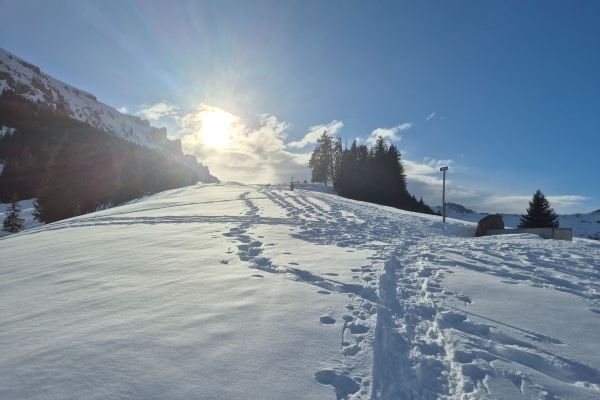 Überraschungstour Schneeschuhtour Mädems