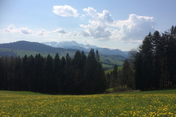 Etappe 5: Herisau Wilen - Schönengrund