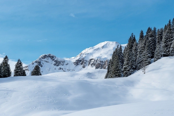 Ein Wilder Berg - Wildenberg