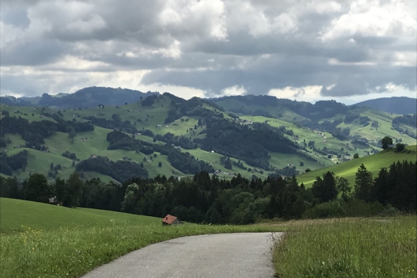 Etappe 4: Niederteufen - Herisau Wilen