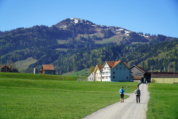 Etappe 6: Schönengrund - Schwägalp LSB