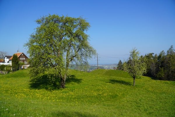 Etappe 1: Walzenhausen - Kaien
