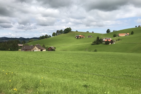 Etappe 4: Niederteufen - Herisau Wilen