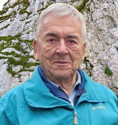Alfred Nef