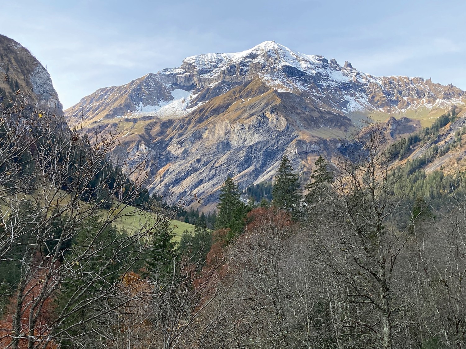 Calfeisen