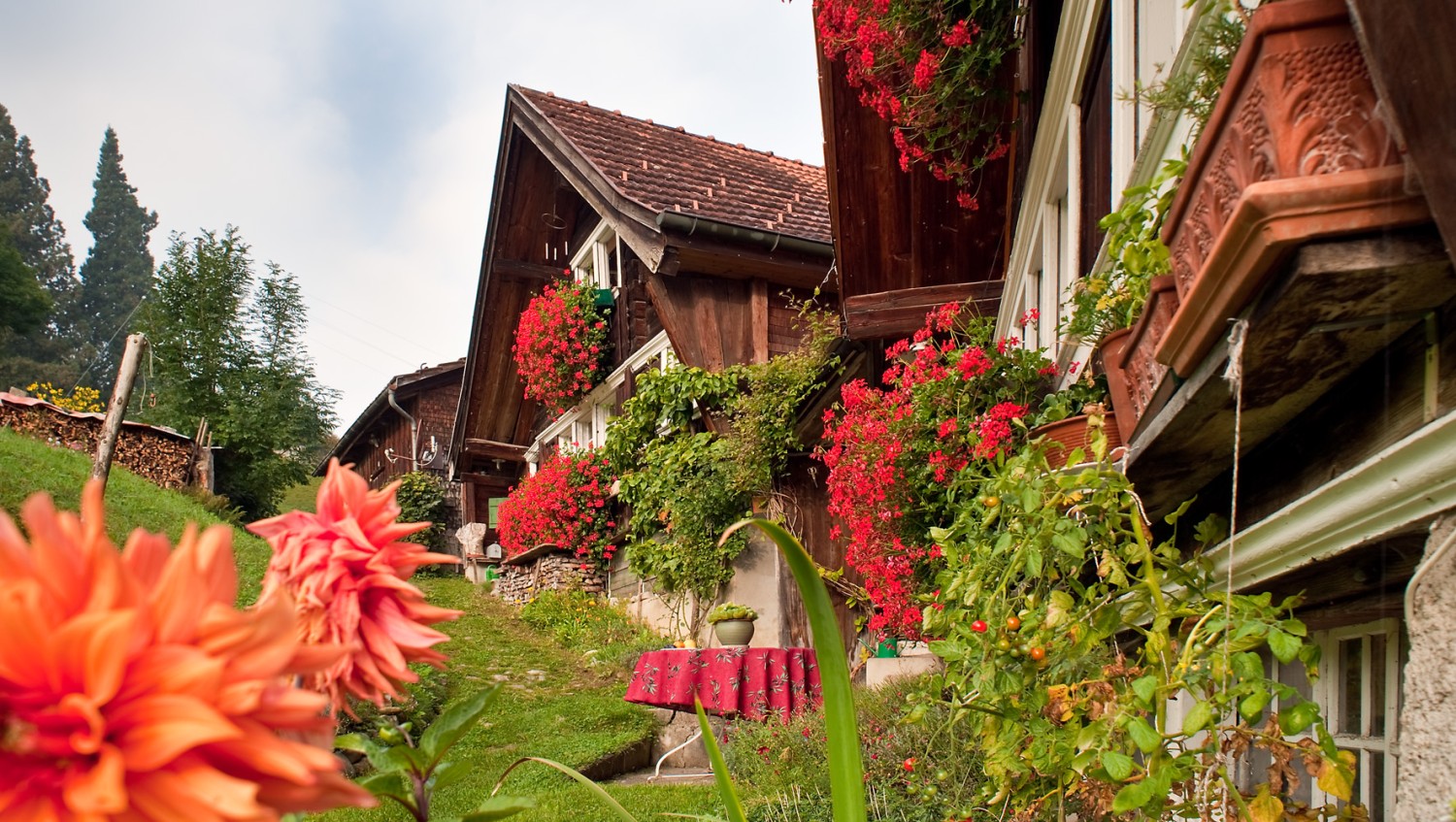 Steingasse Trogen (beim Abstieg zum Bad Tobel)