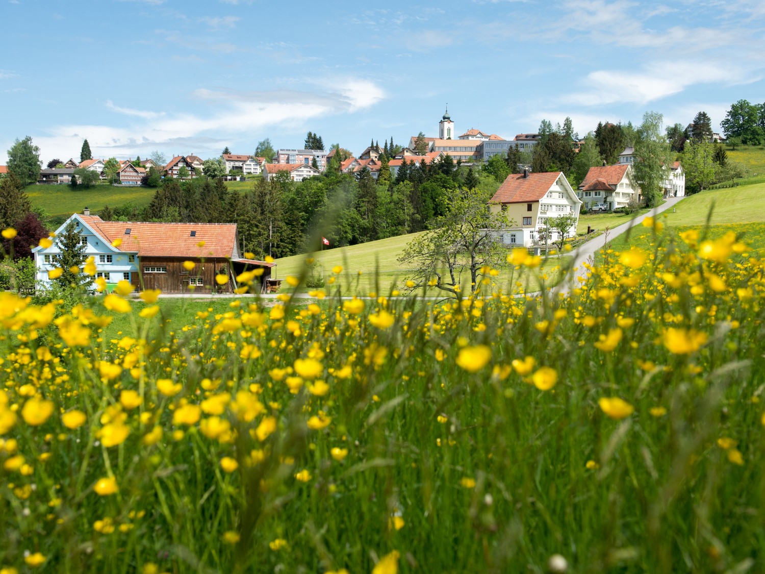 Blick auf Wald AR
